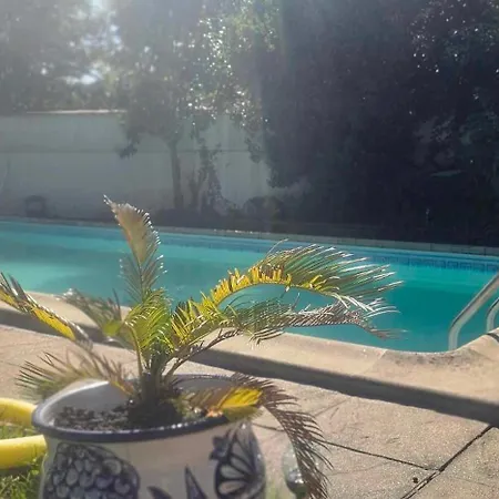 アパート Studio Avec Piscine