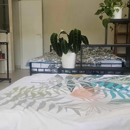 アパート Studio Avec Piscine カストル